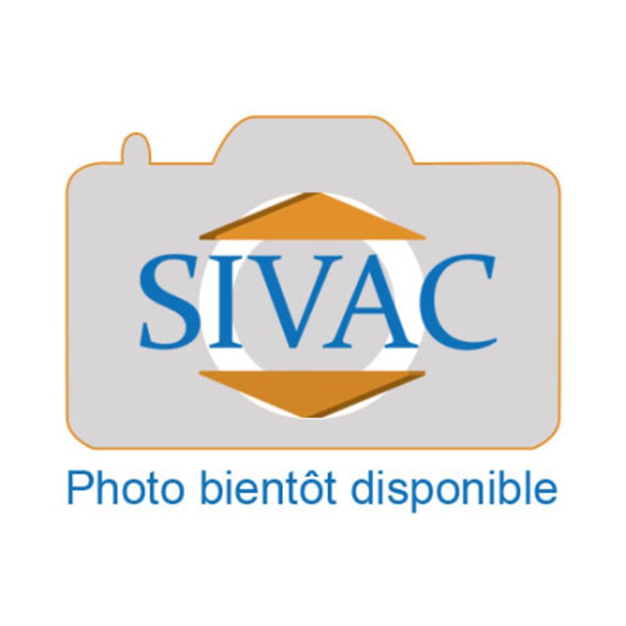 Module relais double 12V 16A pour brûleur SIVAC